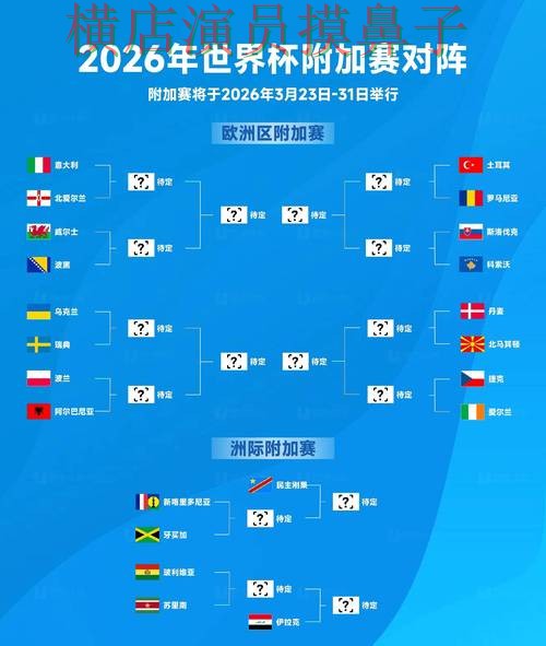 世界杯投注网站大全整理合集：覆盖用户反馈+直播与入口方式 - World Cup 2026